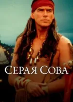 Серая сова